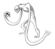 Scp 262