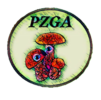 logo_pzga
